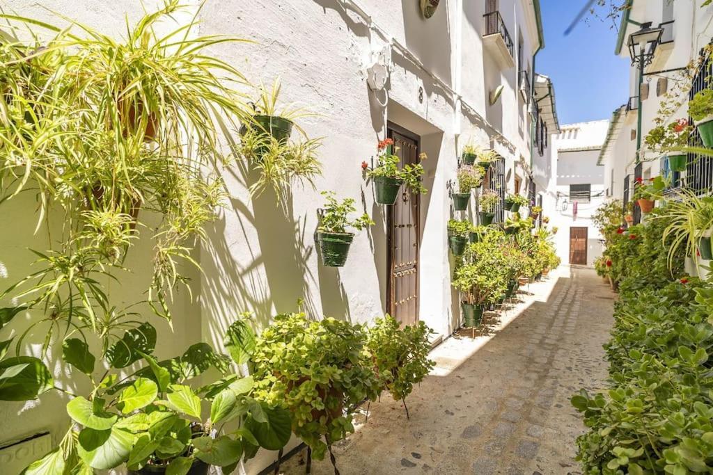 Casa Con Patio Y Terraza En Barrio Historico De La Villa, Junto Al Adarve بييغو ذي كورذوبا المظهر الخارجي الصورة