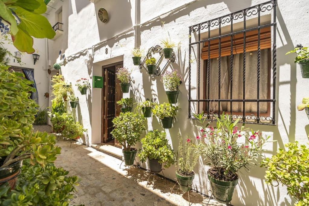 Casa Con Patio Y Terraza En Barrio Historico De La Villa, Junto Al Adarve بييغو ذي كورذوبا المظهر الخارجي الصورة